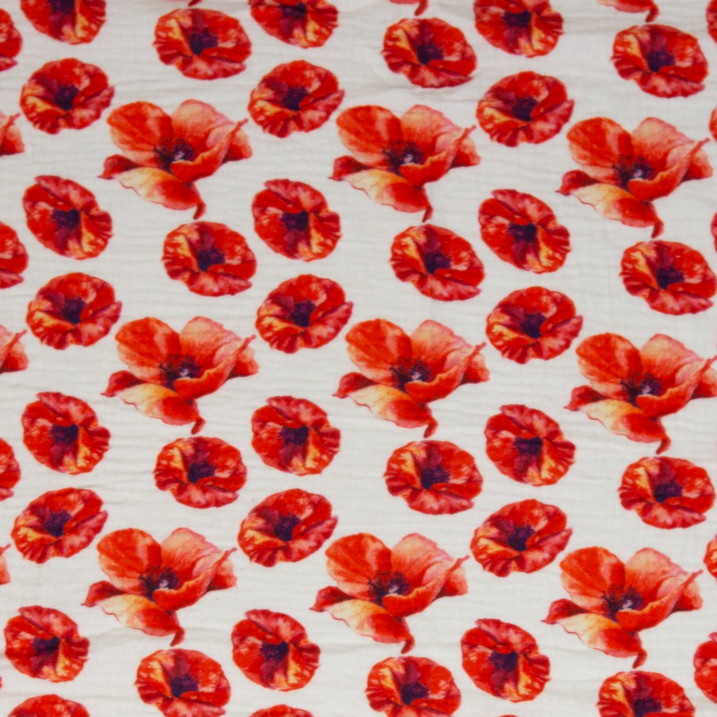 Thea Musselin Mohnblume