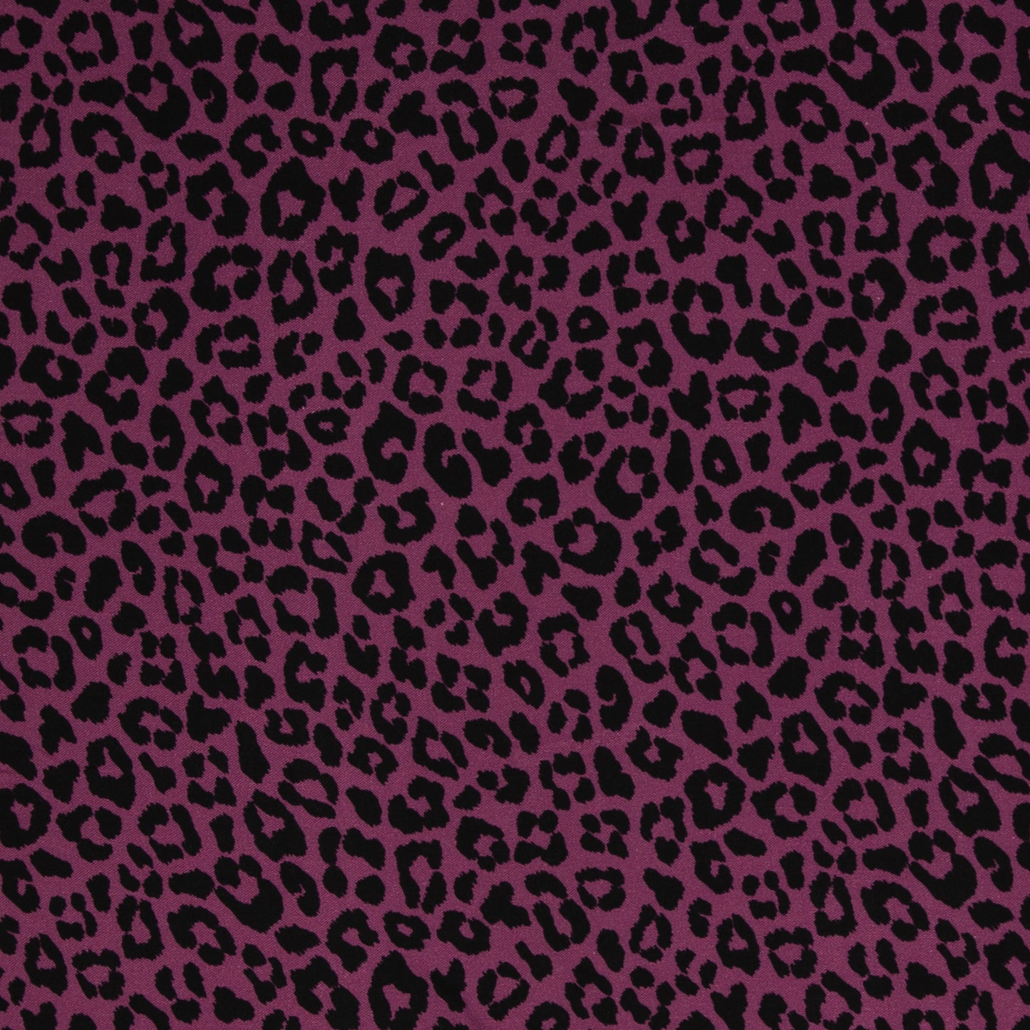 Klara Leo fuchsia