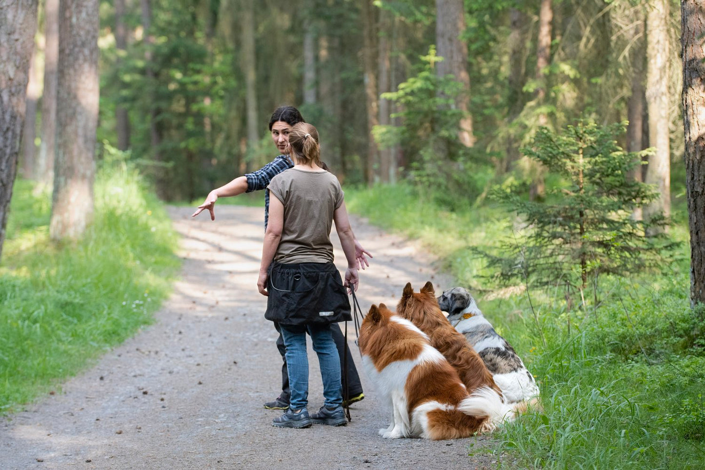 Wochenendseminar-Beziehungsarbeit und Kommunikation mit Hunden