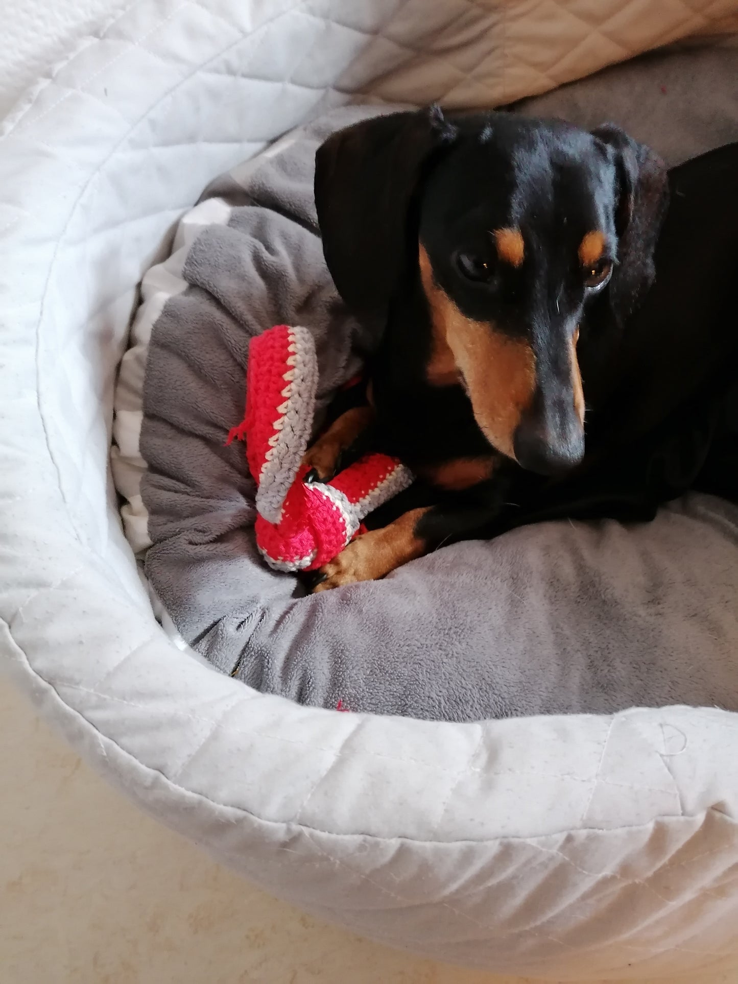 Download-Anleitung Hundespielzeug Maxl