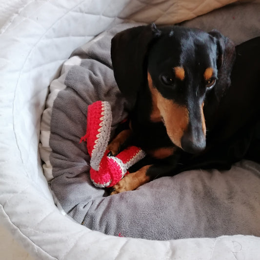 Download-Anleitung Hundespielzeug Maxl