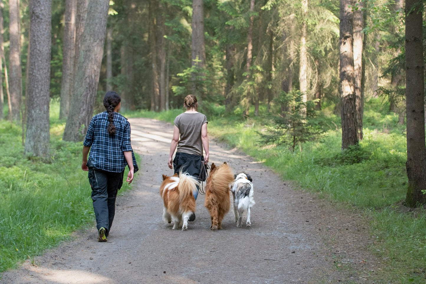 Beziehungsarbeit und Kommunikation mit Hunden