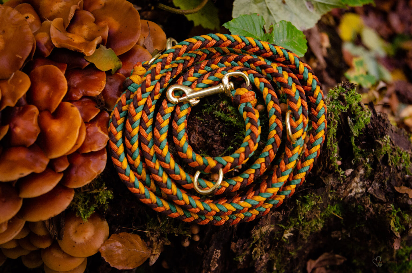 Hundeleine selber flechten - Paracord zzgl. Material