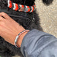 DIY-Set Hundehalsband Ringelwurm 3 farbig