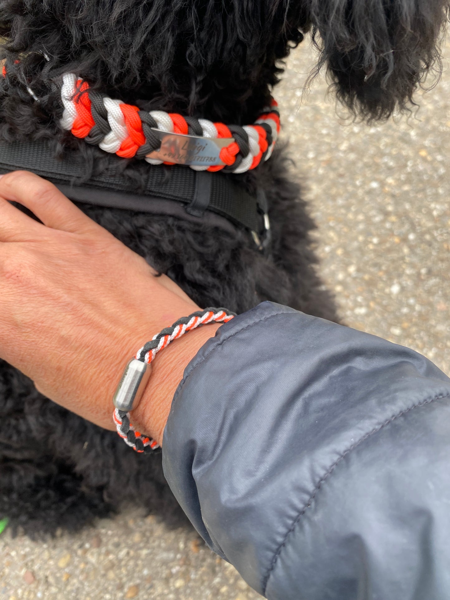 DIY-Set Hundehalsband Ringelwurm 3 farbig