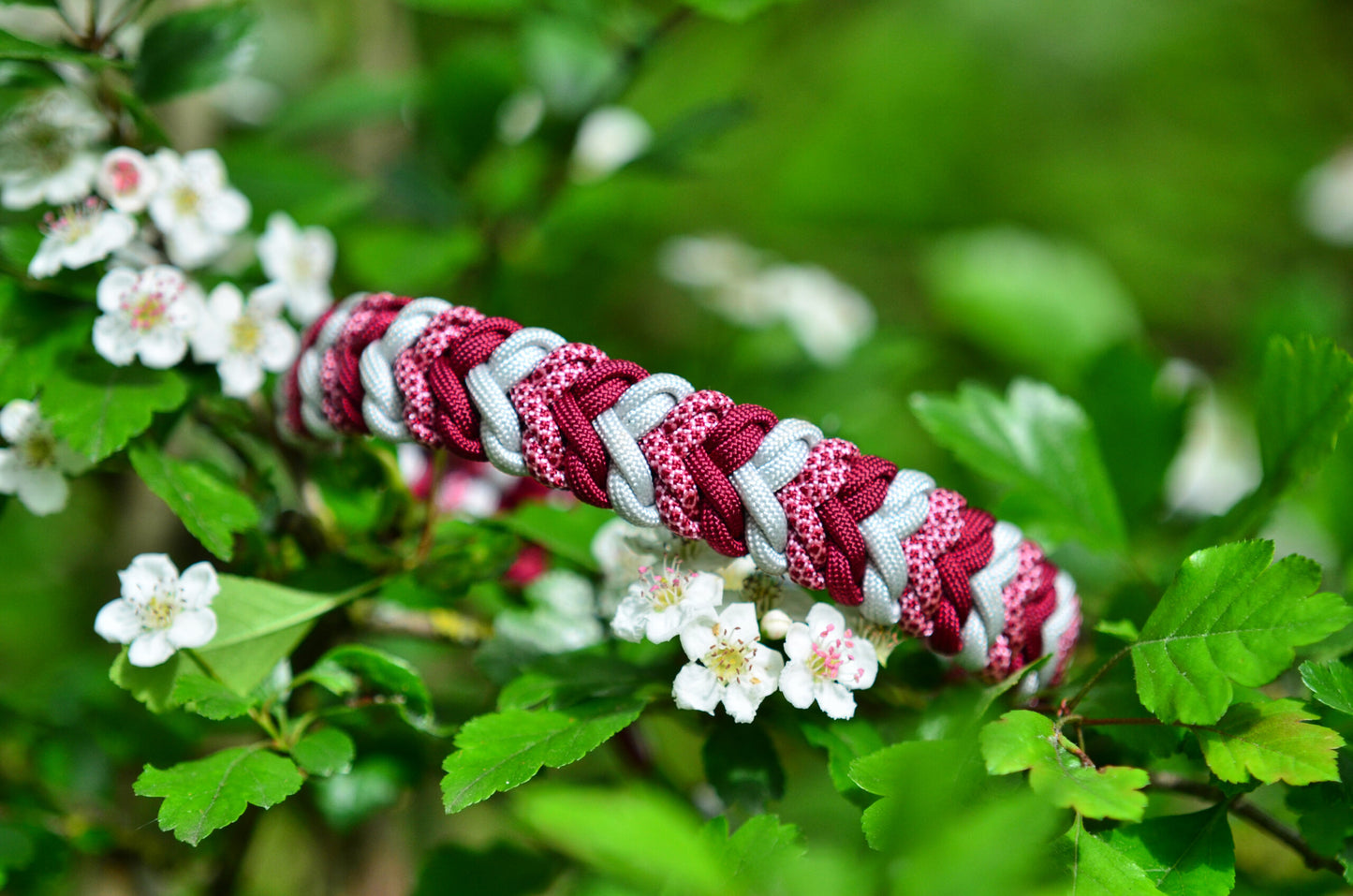 Hundehalsband selber flechten - Paracord zzgl. Material