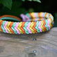 DIY-Set Hundehalsband Ringelwurm 3 farbig