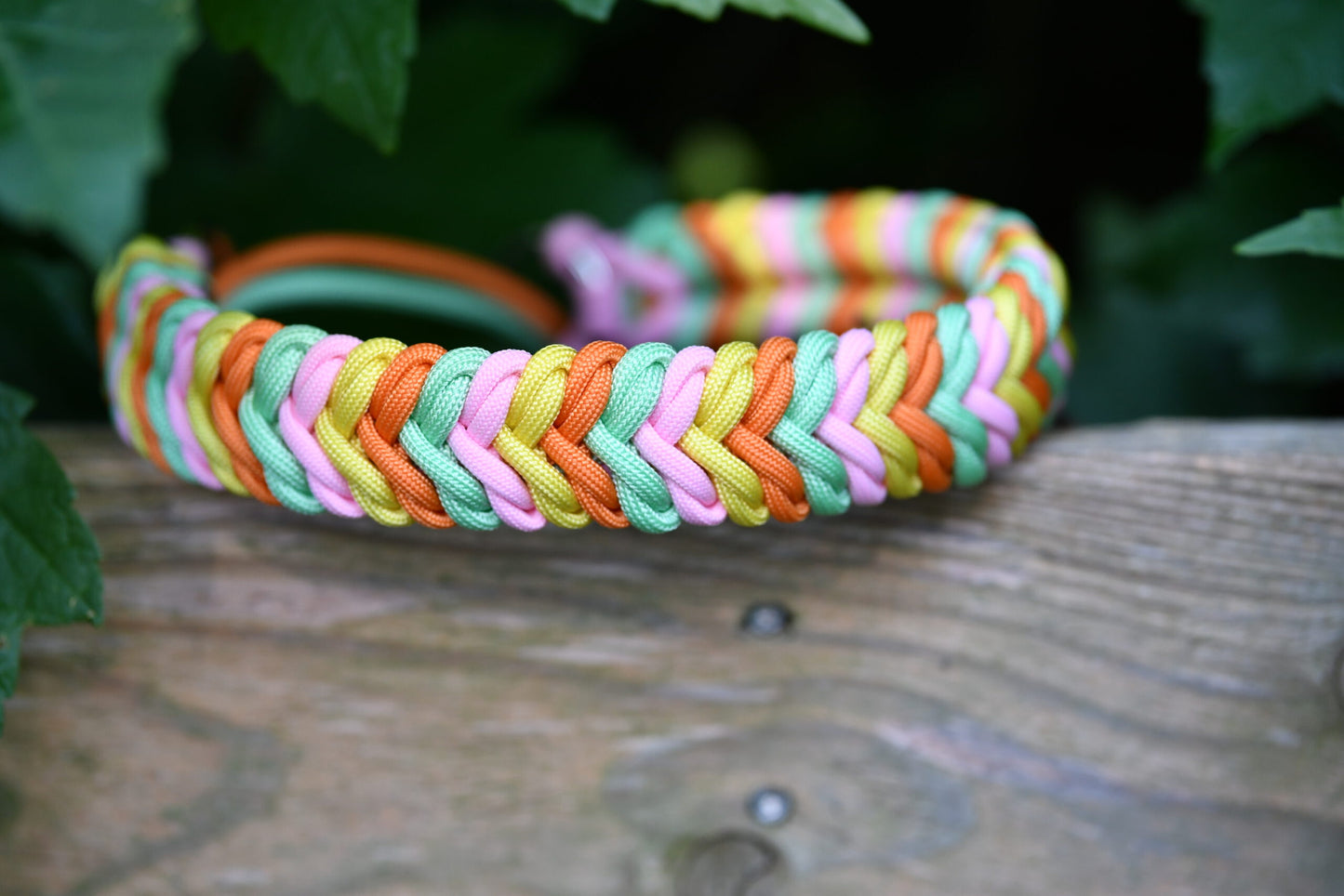 DIY-Set Hundehalsband Ringelwurm 3 farbig