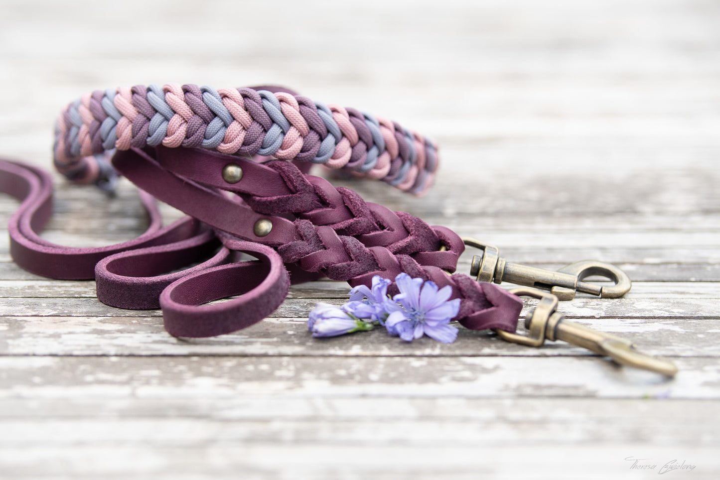 DIY-Set Hundehalsband Ringelwurm 3 farbig