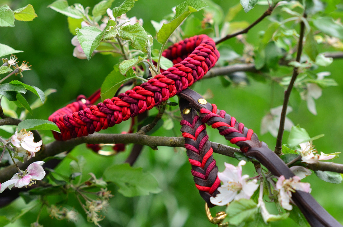 DIY-Set Hundehalsband Ringelwurm 3 farbig