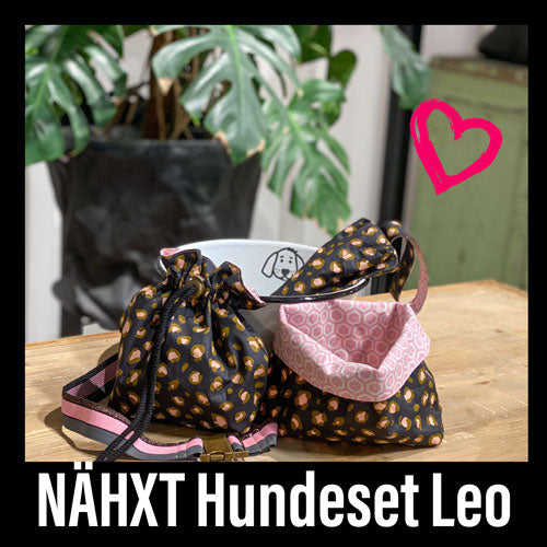 Download-Anleitung Hundeset Leo