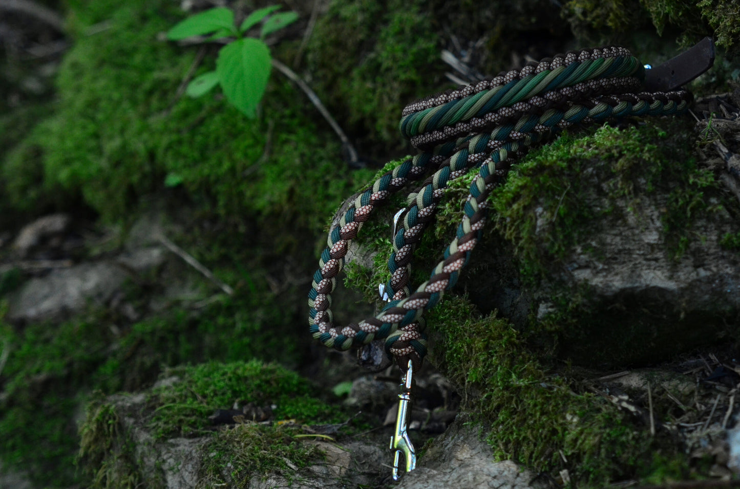 Hundeleine oder Hundehalsband selber flechten - Paracord zzgl. Material