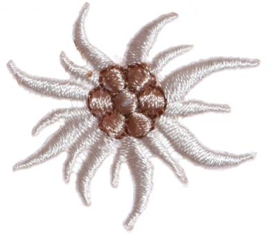 Applikation Edelweiß klein