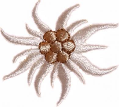 Applikation Edelweiß groß