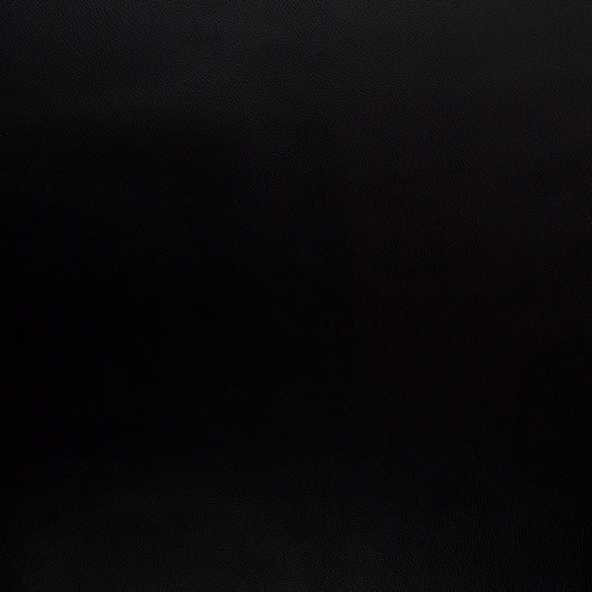 Swafing Rex Kunstleder – schwarz – Kunstleder Stoffansicht