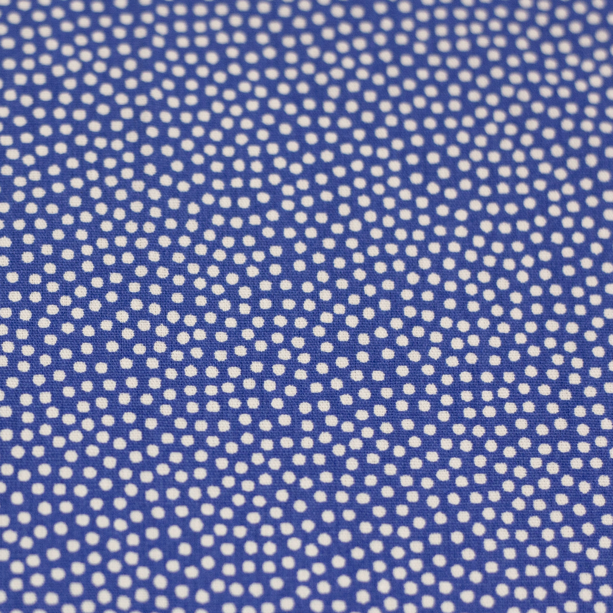 Swafing Dotty Baumwollwebware – weiß/royalblau