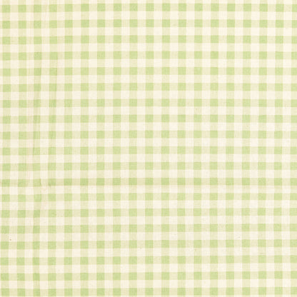 Baumwollwebware Karo limette