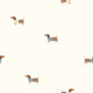 Jersey Hunde – Muskatbraun