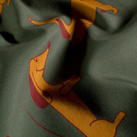 Softshell Dinosaurier – Dunkelgrün