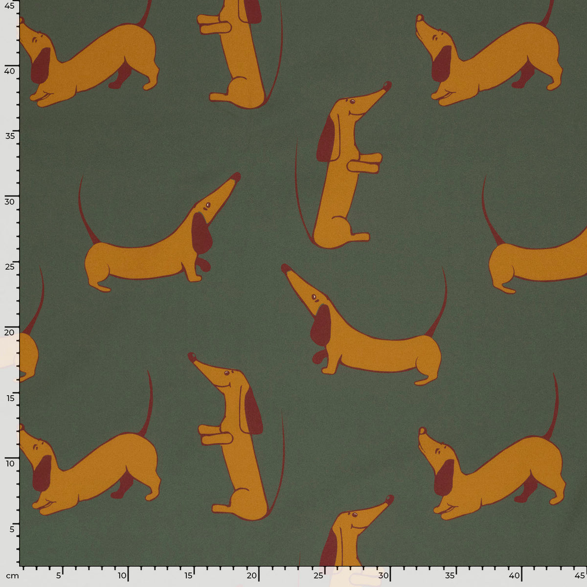 Softshell Dinosaurier – Dunkelgrün