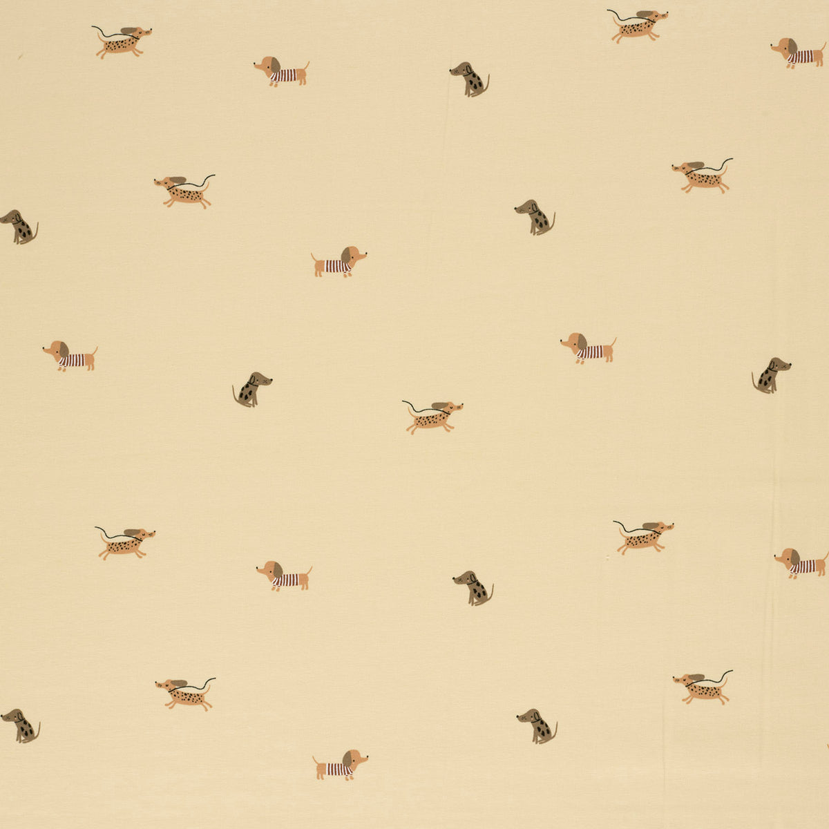 Jersey Hunde – Beige