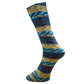 Mally Socks – Ferner Wolle – Farbe 553-22