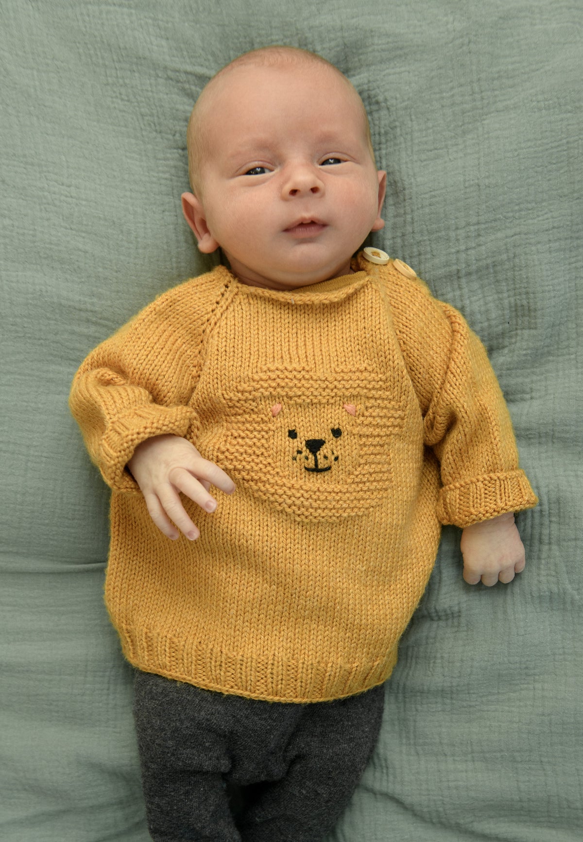 Babypulli Löwenliebe
