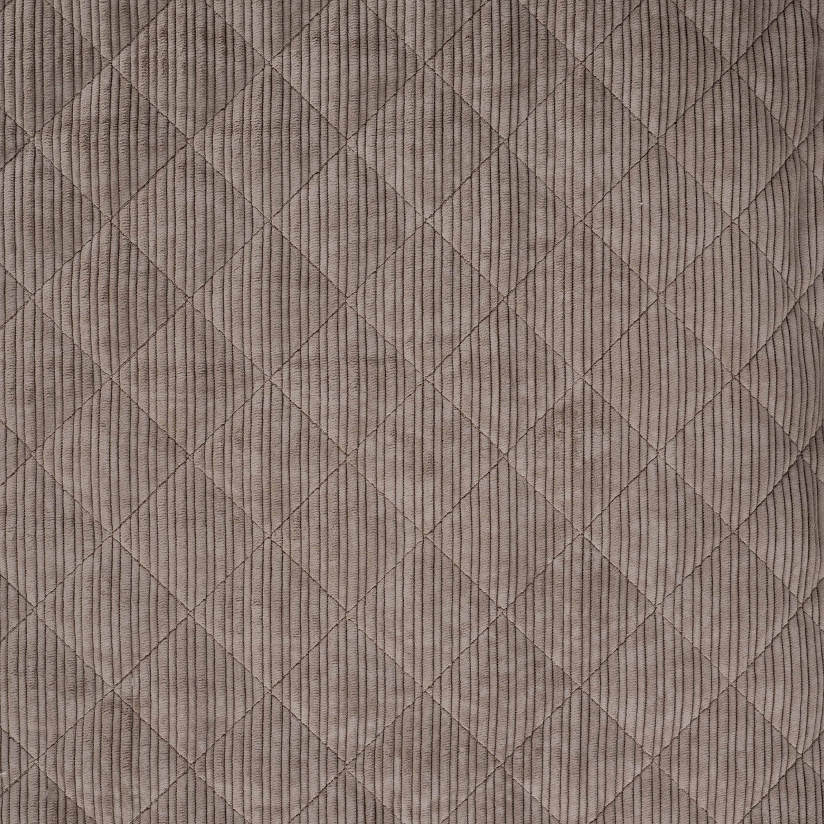 Stepp-Cordstoff – Champagner