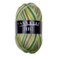 Trekking 4-fach Color – Atelier Zitron