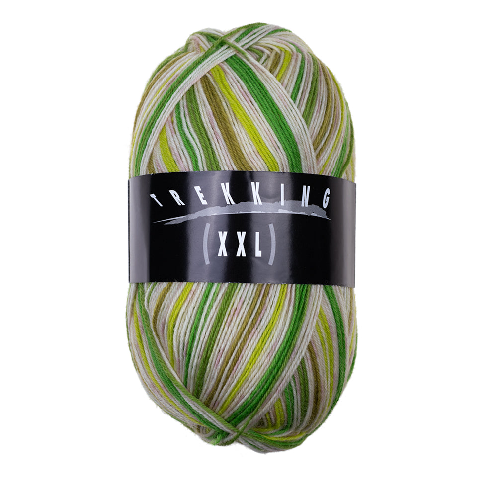 Trekking 4-fach Color – Atelier Zitron