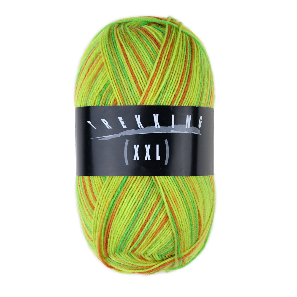 Trekking 4-fach Color – Atelier Zitron