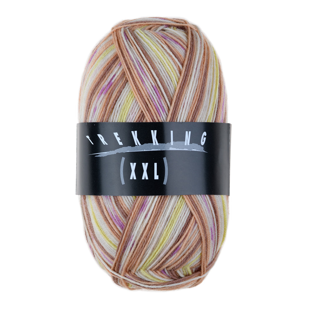 Trekking 4-fach Color – Atelier Zitron