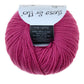 Atelier Zitron Gesa und Flo – Farbe 34