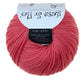 Atelier Zitron Gesa und Flo – Farbe 33