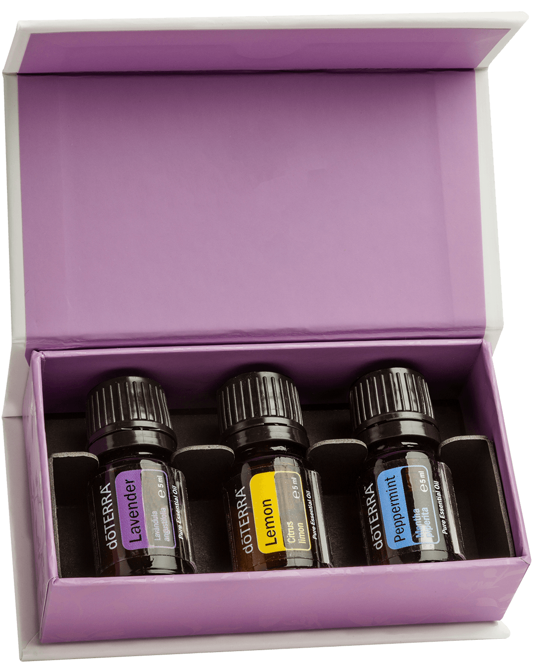 DoTerra Introductory Kit