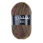 Trekking 4-fach Color – Atelier Zitron