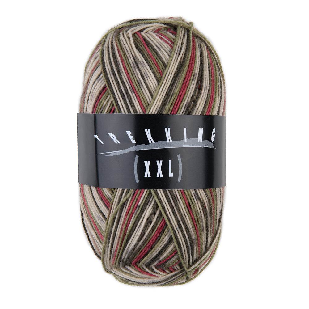Trekking 4-fach Color – Atelier Zitron