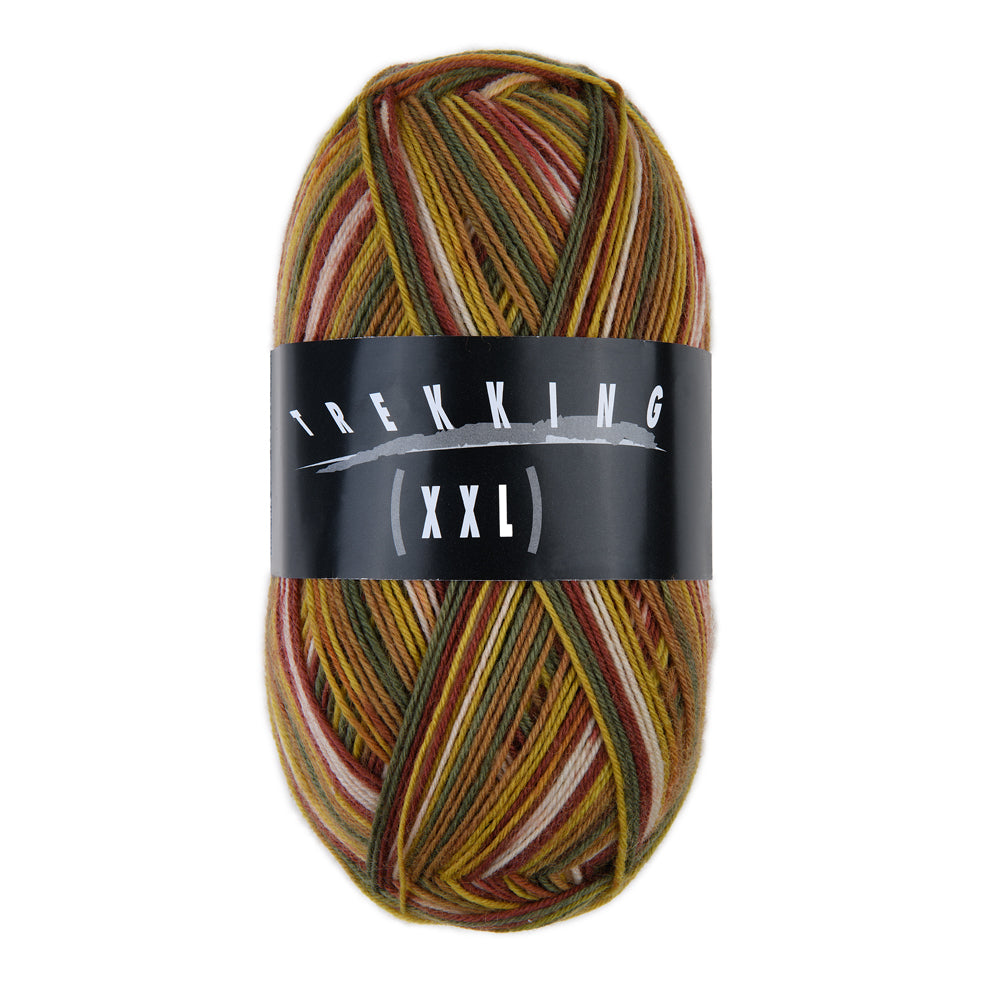 Trekking 4-fach Color – Atelier Zitron